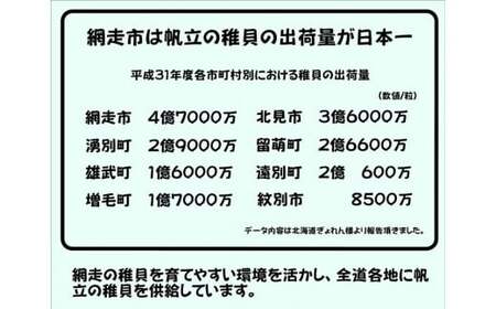 オホーツク産 冷凍帆立（ほたて）の貝柱 ４Ｓサイズ１kg ABX070 | 帆立 ほたて