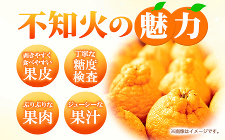 不知火 約3kg フレッシュフーズ 《2027年2月下旬-4月下旬頃出荷》熊本県産 (荒尾市産含む) 柑橘 フルーツ フレッシュフーズ 不知火 果物 デコポン と同品種 送料無料 果物 しらぬい 旬 オレンジ みかん 美味しい不知火 旬の不知火 ジューシー不知火 フルーツ不知火