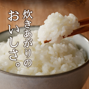 a26-040　令和７年産 農薬7割減 特別栽培 きぬむすめ 白米10kg（5kg×2袋）