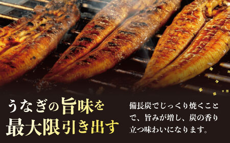 鰻のかば焼き1尾 / 大村市 / うなぎ ウナギ 鰻 蒲焼 / お料理やまうえ [ACZL002]
