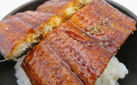 特大うなぎ蒲焼 2尾（200g以上/尾） / 鰻 / 佐賀県 / 佐嘉ZEYTAKUYA（山下鮮魚店）[41AQAA054]