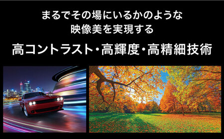 プロジェクター　Victor 8K D-ILA DLA-V800R プロジェクター【株式会社ＪＶＣケンウッド】 [AKBK006]