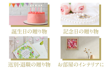 プリザーブドフラワーアレンジメント West Coast 花 ギフト ドライフラワー インテリア アレンジ フラワー 【株式会社日比谷花壇】 [AKBO012]