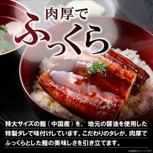 うなぎの蒲焼ビッグサイズ 4尾（計1.2kg前後） _KP9406
