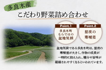 【定期便6回】熊本の大地の恵み 旬の こだわり野菜詰め合わせセット 8?12品 （3?4名様向け）6回配送 獲れたて 新鮮 野菜 セット 詰め合わせ 詰合せ 定期便 産地 直送 国産 季節 旬野菜 家族 ファミリー 多良木町 024-0811