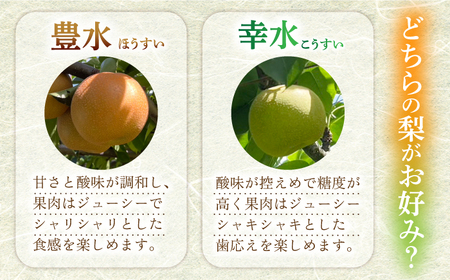 【2026年先行予約】梨（豊水）3kg箱[ECO002]梨 ほうすい
