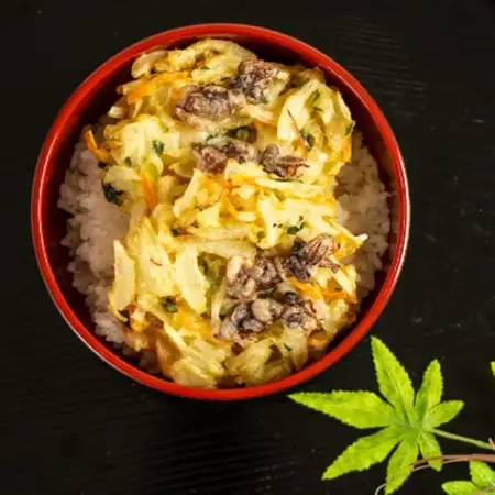 富山産ほたるいか入りかき揚げ【かき揚げ丼の具10食セット】_惣菜・加工品   _【配送不可地域：離島】【1551201】