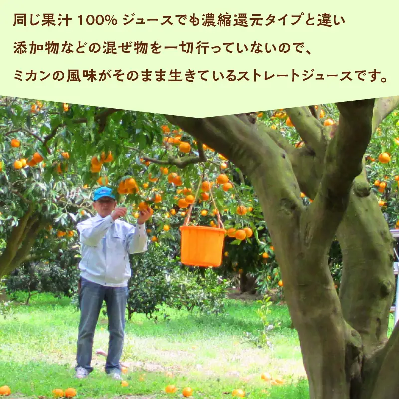 【数量限定】 淡路島産なるとオレンジジュース2本セット 
