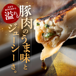 【定期便3回】たじまやオリジナルビッグ餃子 140個