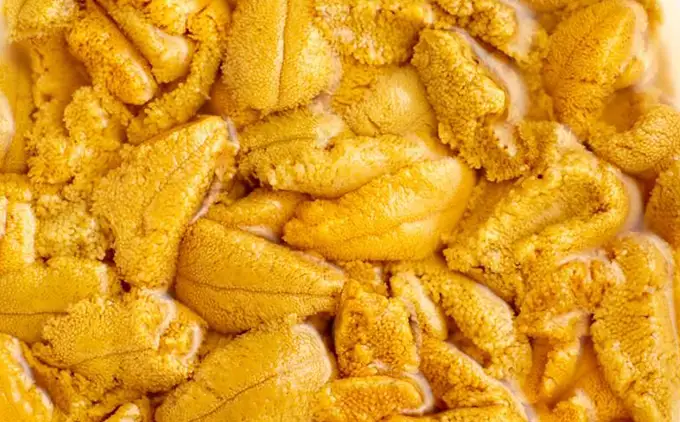 【令和8年発送先行予約】塩水うに 500g×1パック