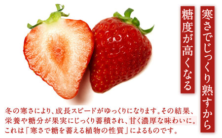 福岡県産特産品 うまもぐ厳選果物 福岡県産 博多あまおう DX上級品 約1kg（約250g×4パック入り）【2027年2月上旬-3月上旬発送】あまおう いちご 苺 イチゴ 果物 フルーツ