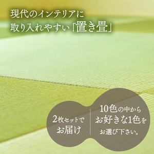 畳 薄置畳 2枚【穂波04】 ヘリなし畳 置き畳 フロア畳 京都の畳 畳