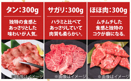 【全3回定期便】佐賀牛6種食べ比べ！ ホルモンバラエティセット 5.4kg 4-5人前 タン・小腸など 吉野ヶ里町/やきとり紋次郎[FCJ104]