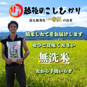 無洗米 7kg 令和7年産 コシヒカリ 新潟 toushin005_02