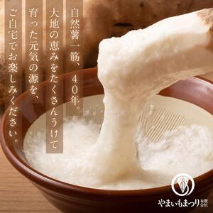 【炊き込みご飯の素】日本原産種の山芋とその子実入り自然生山子ごはん 150g×3パックセット