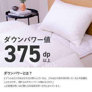  布団【甲州羽毛ふとん】サステナブルな軽量羽毛本掛け布団（シングル/アイボリー）