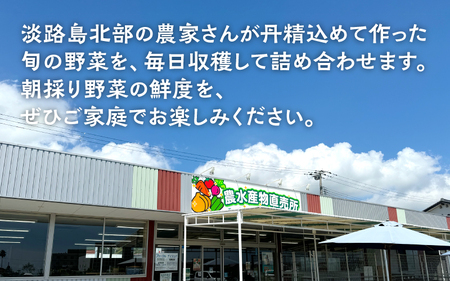 淡路島の加工品付き旬の野菜セット