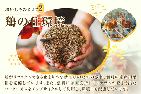 放し飼い米たまご15個+5個保証（計20個）農家直送 新鮮 卵 タマゴ 赤卵 玉子 鶏卵 朝食 夕食 夜食 朝ごはん たまご焼き オムレツ 卵ご飯 料理 濃厚 飼料にこだわった 卵かけご飯 米たまご 生卵 大容量 お取り寄せ 愛知県 常滑市