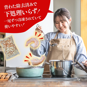 シーフードミックス 800g えび いか【OKR003_x】