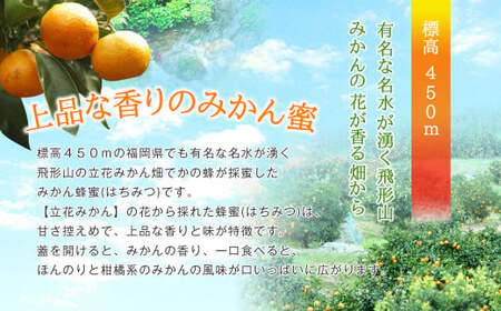 はちみつ 専門店【かの蜂】 国産 みかん 蜂蜜 500g 完熟の純粋蜂蜜 （とんがり容器） 蜂蜜 純粋 はちみつ みかん蜂蜜 国産