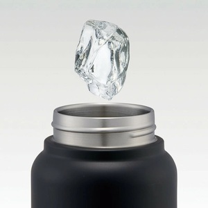 【スクリューハンドル付きマグボトル】800ml 保温保冷 ブラック スケーター株式会社 10-035