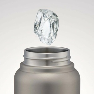 水筒 スクリューハンドル付きマグボトル 800ml シルバー 保温保冷 10-036