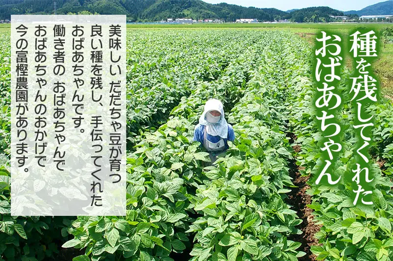 【令和8年産先行予約】富樫農園の朝採りだだちゃ豆【8月上旬発送】500g 早生甘露・甘露　K-812