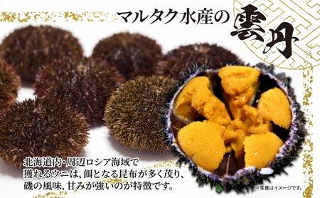 ロシア産 バフンウニ 塩水パック 100g×2 雲丹 ウニ うに 新鮮 海産物 冷蔵 濃厚 甘い