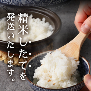 a24-069　令和７年産 5つ星お米マイスター厳選 焼津の魚に合う美味い米 にこまる 白米10kg (5kg×2)