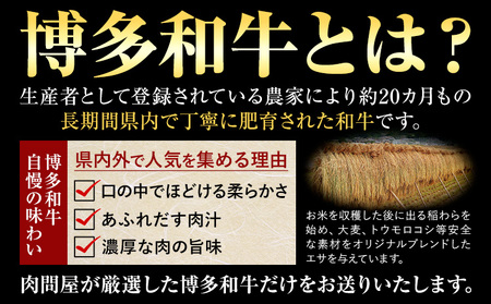 博多和牛 赤身 のみ 切り落とし 合計 800g 株式会社中山家《30日以内に出荷予定(土日祝除く)》小竹町 博多和牛 牛肉 赤身肉 牛 すき焼き 牛丼 和牛 ご家庭用