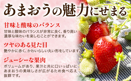福岡県産 冷凍あまおう 小分けパック 1kg(250g×4袋) 株式会社木村食品《30日以内に出荷予定(土日祝除く)》福岡県 小竹町 冷凍あまおう いちご 冷凍フルーツ 果物 送料無料