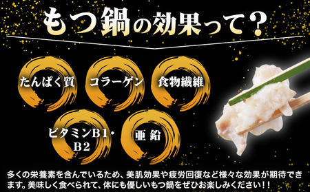 もつ鍋 博多 牛もつ鍋 セット 3~4人前 株式会社木村食品《30日以内に出荷予定(土日祝除く)》福岡県 鞍手郡 小竹町 牛 牛肉 もつ 鍋 送料無料