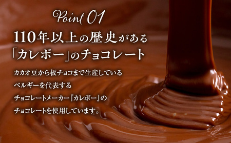 ホテルニドムのこだわり バスクショコラ T067-009 スイーツ お菓子