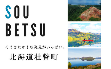 ＜2026年8月上旬より順次お届け＞北海道壮瞥産 とうもろこし（恵味ゴールド）約10kg SBTA032