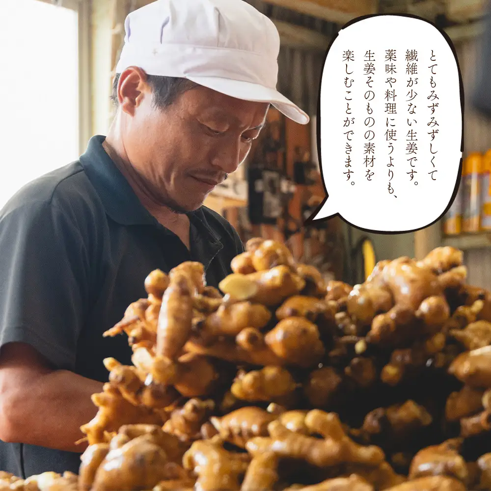 生姜 2kg【生姜 生姜 生姜 生姜 生姜】 bc-0014