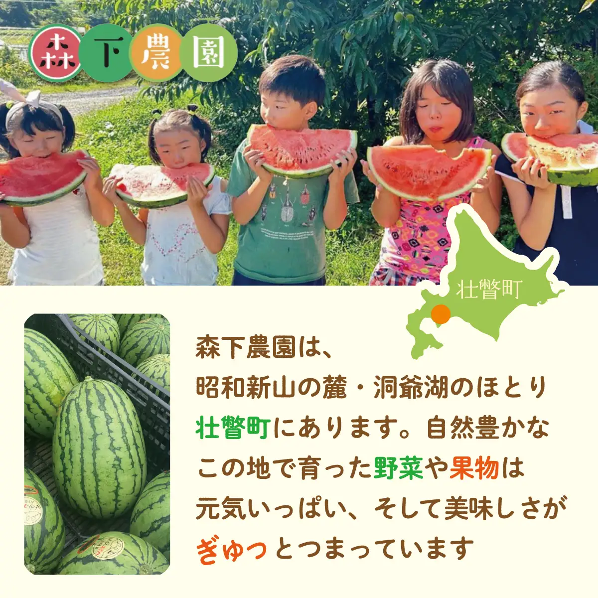 ＜2026年8月上旬よりお届け＞北海道壮瞥産　新山すいか 小玉すいか（マダーボール）Lサイズ2玉 スイカ SBTN002