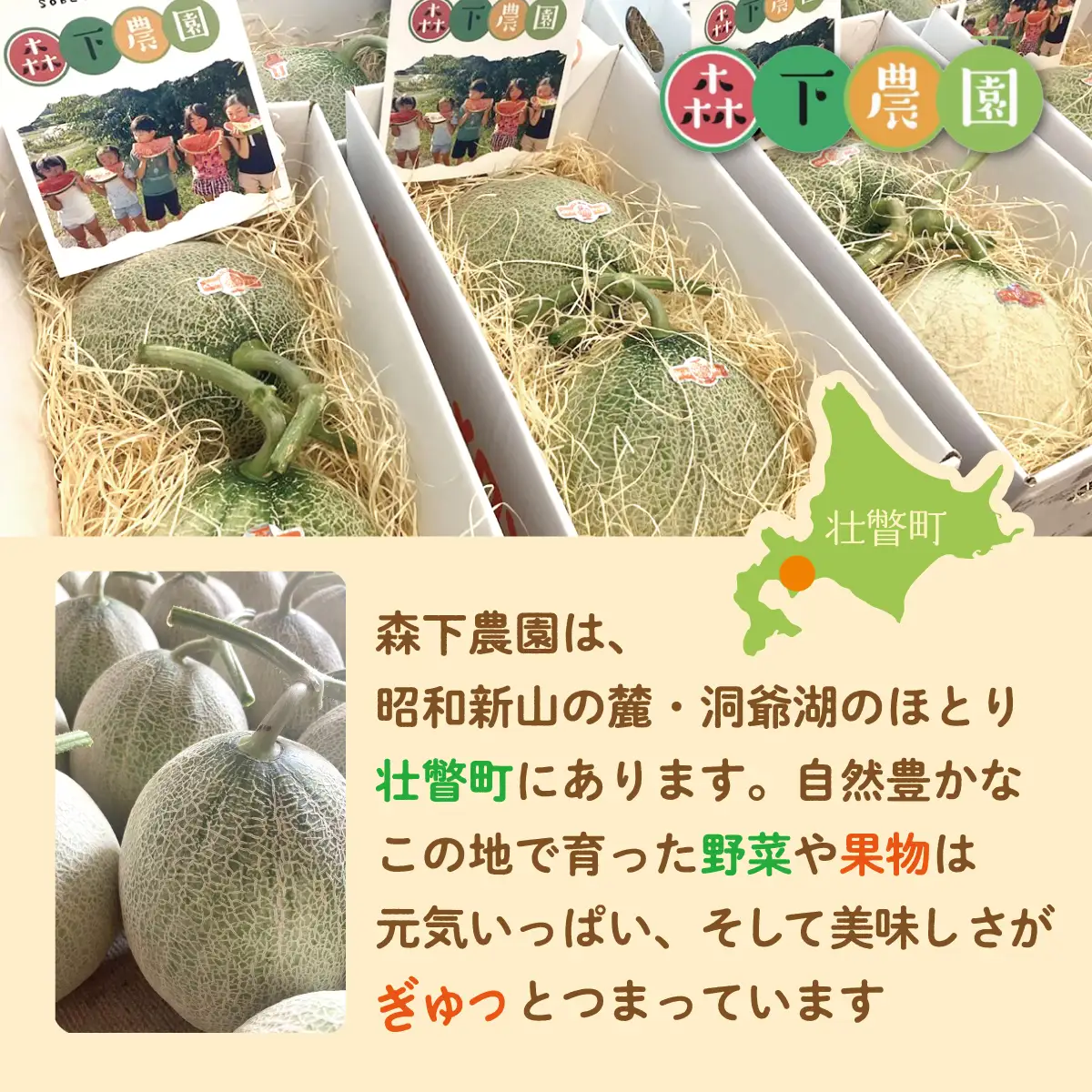 ＜2026年7月下旬よりお届け＞北海道壮瞥産 赤肉メロン（ニューキングメロン）2玉 約3kg SBTN003