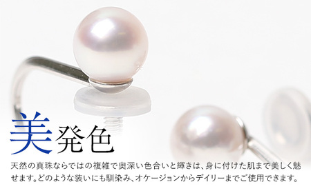 【7営業日以内に発送】あこや真珠 5.0-5.5mm 保証書付 イヤリング K14WG ベビーパール ／  アコヤ真珠 真珠 アクセサリー ジュエリー 長崎県 長崎市