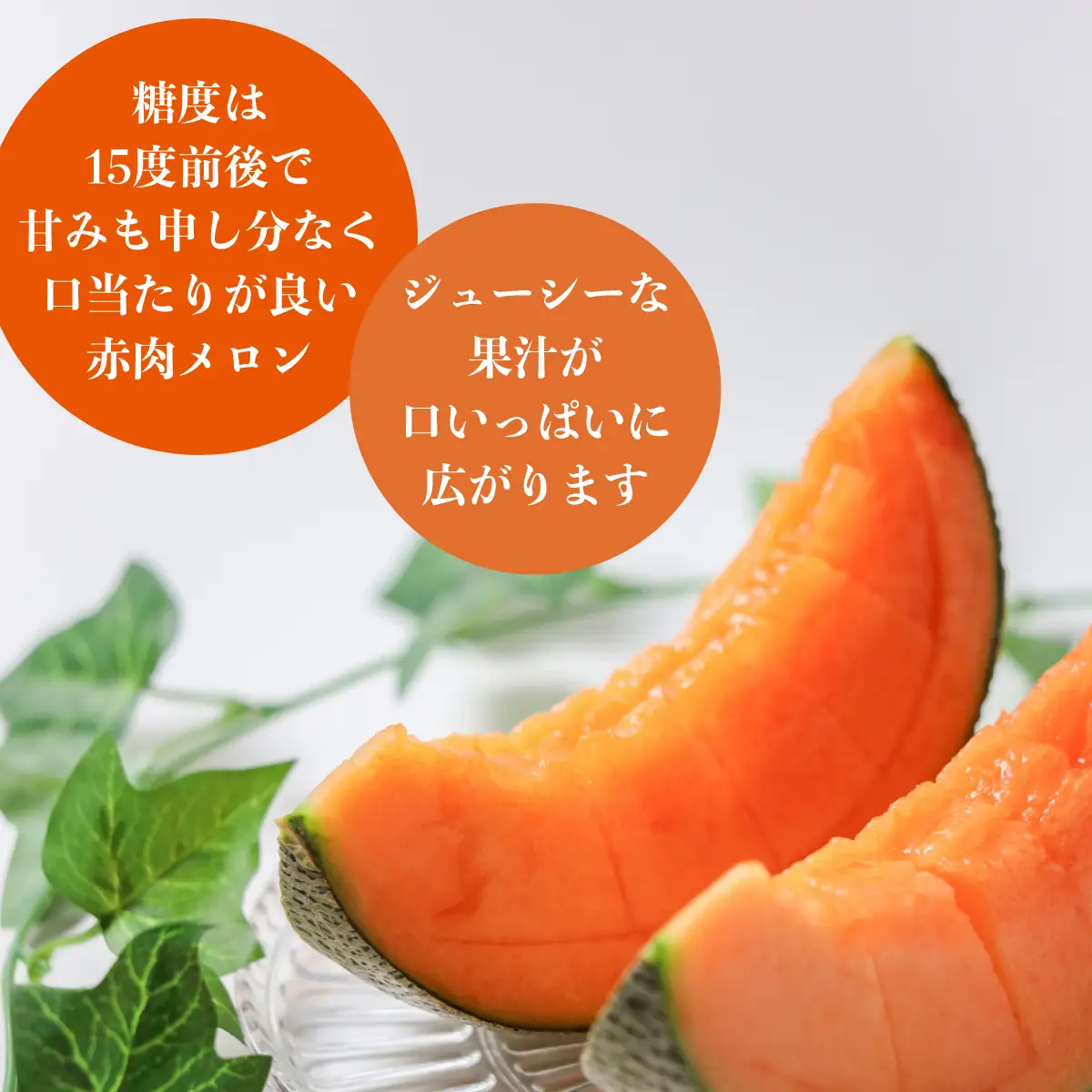 ＜2026年7月よりお届け＞2回お届け！赤肉メロン2玉ととうもろこし（恵味）22～25本 SBTP007 SBTP007