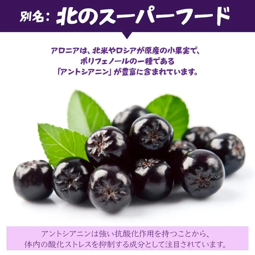[5525-1044]北海道 伊達 大滝産 アロニア ジュース 500ml 2本 果汁 果実飲料 飲料 飲み物 フルーツ スーパーフード ポリフェノール