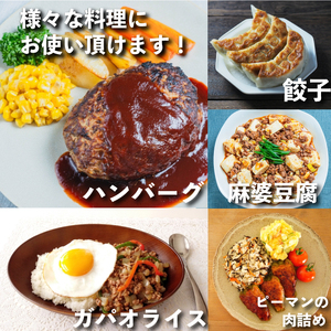 定期便 ひき肉 3回 豚肉 計 4.5kg ひき肉 豚 国産 冷凍 小分け おにく ご飯 おかず ハンバーグ 餃子 コロッケ メンチカツ 肉