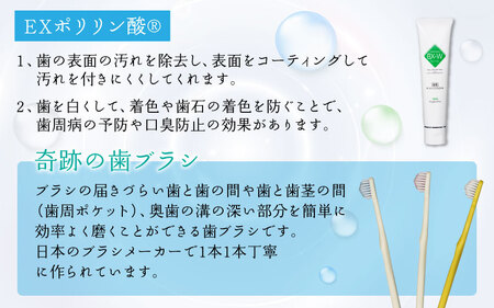 ポリリンオーラルケアセット 3セット組 ｜ 歯磨き粉 歯磨き粉