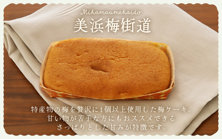 若狭ロマン美浜菓子 8個セット【ギフト 母の日 父の日 こどもの日 敬老の日 プレゼント 和菓子 焼菓子  洋菓子 詰め合わせ セット 個包装 スイーツ お菓子 デザート】 [m02-a004]