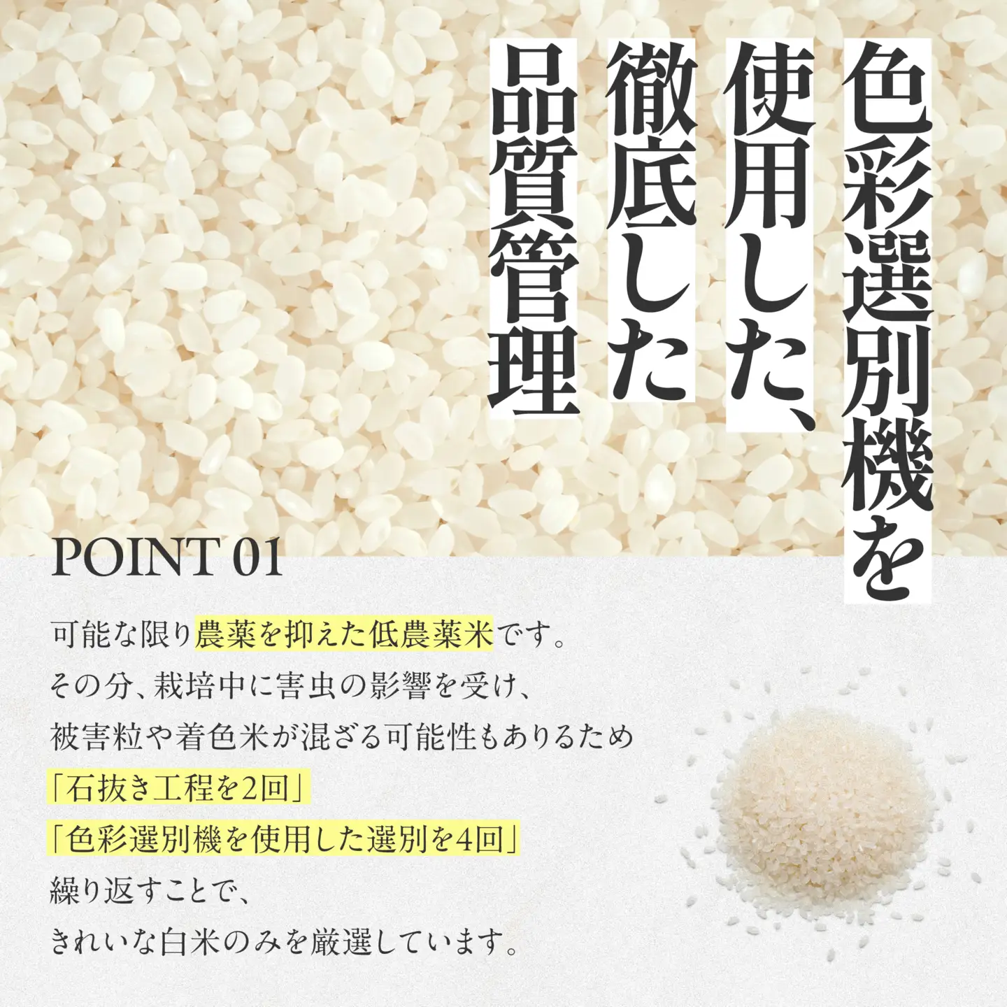 【コシヒカリ】令和7年産 白米30kg【5営業日以内に発送】