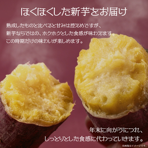 【2026年9月より順次発送】農産物直売所「やさいの声」紅はるか 新芋 洗い 約5kg|さつまいも サツマイモ 紅はるか 洗い 行方市 ふるさと納税(EK-9)