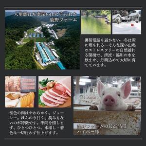 鹿野ファーム 肉のちょいつま5種アソート 5個セット