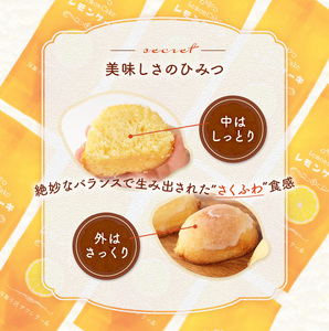 レモンケーキ ギフトbox 12個入り　BJ004
