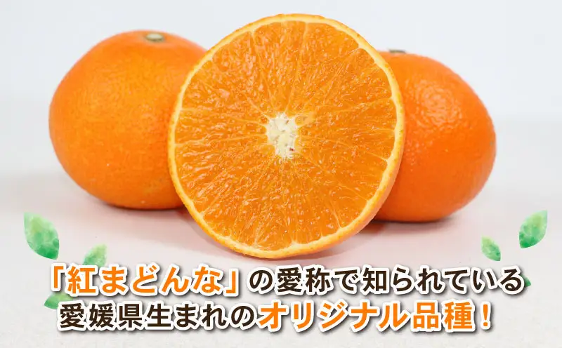 【12/5～12/15発送予定】 愛果28号 約4kg L~3L サイズ Shirai.agrifarm 先行予約 B020-115004