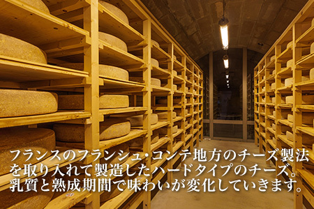  チーズ グランプリ受賞 100g×10個  北海道チーズ 本格的ハードチーズ   [045-18]