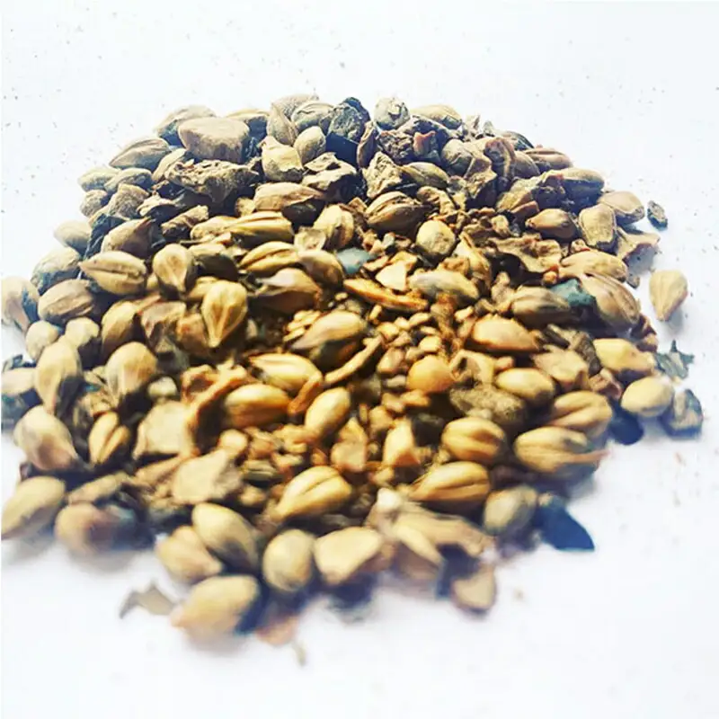 お茶 菊芋麦茶 ティーバッグ 12包_FU035_007